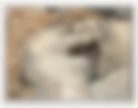 TRIBUTE TO COURBET N ° 6 (preview)