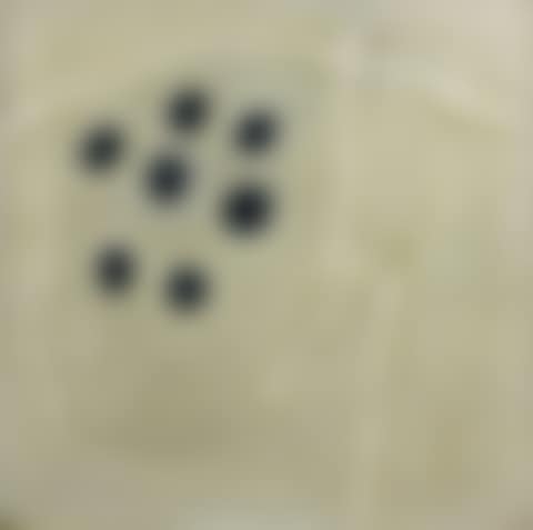 UNTITLED (preview)