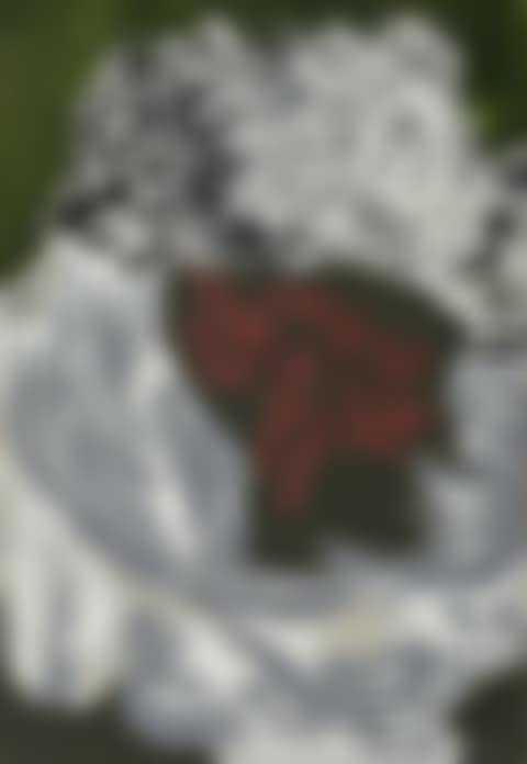 PORTRAIT OF VAN GOGH (preview)
