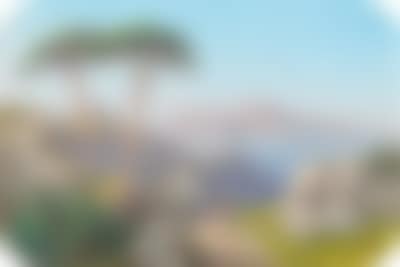 A view of the sea and Capri island (preview)