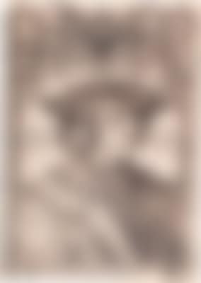 The Portrait of Emperor Maximilian I. (preview)