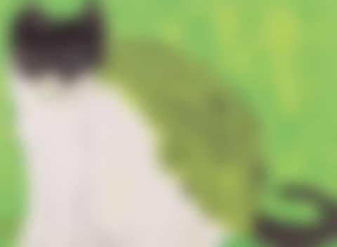 A GREEN CAT (preview)