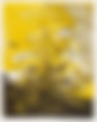 Untitled (preview)