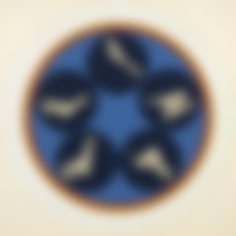 Untitled (preview)