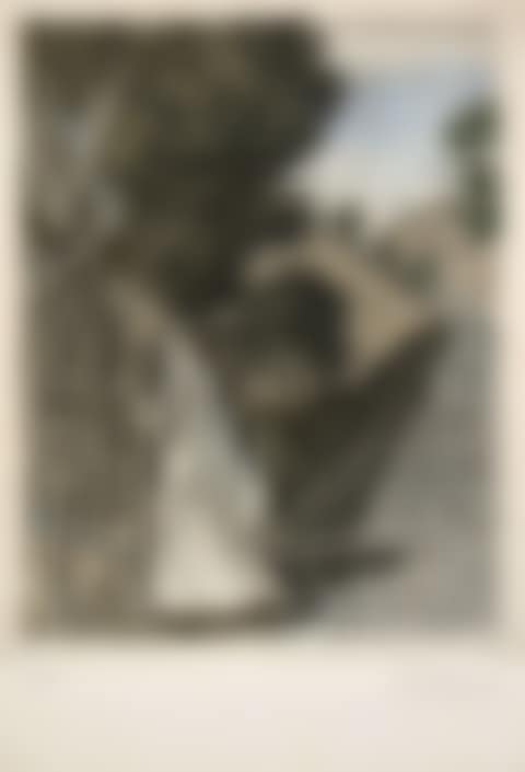 The country of mirrors (1 plate) (preview)