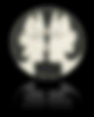 Les Dioscures (preview)