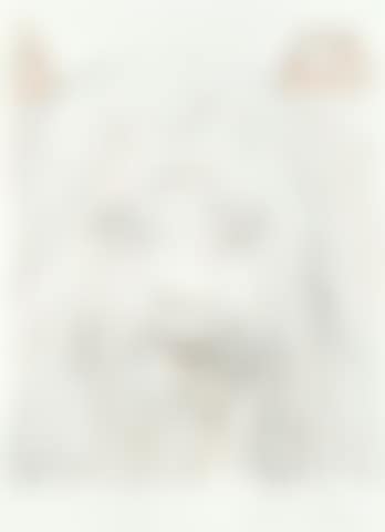 Leonardo da Vinci (preview)