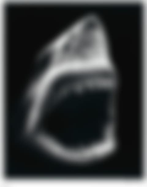RUSSIAN BOMB / SEMIPALATINSK; SPANISH BLOOD / LION'S GATE; UNTITLED (SHARK 5); AND UNTITLED (ULYSSES) (preview)