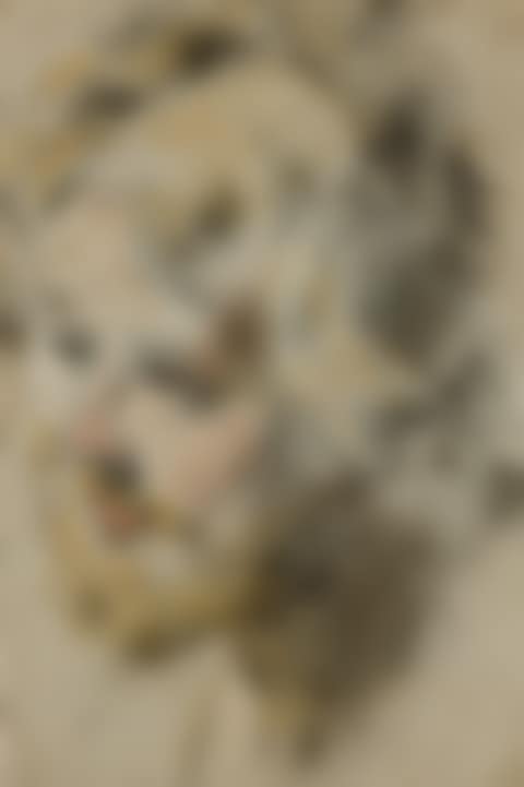STUDY OF A MALE HEAD (preview)