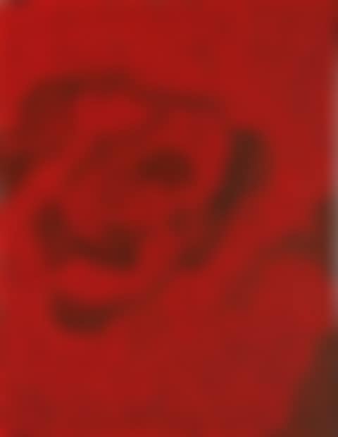 RED-NETS NO. 2.A.3. (preview)