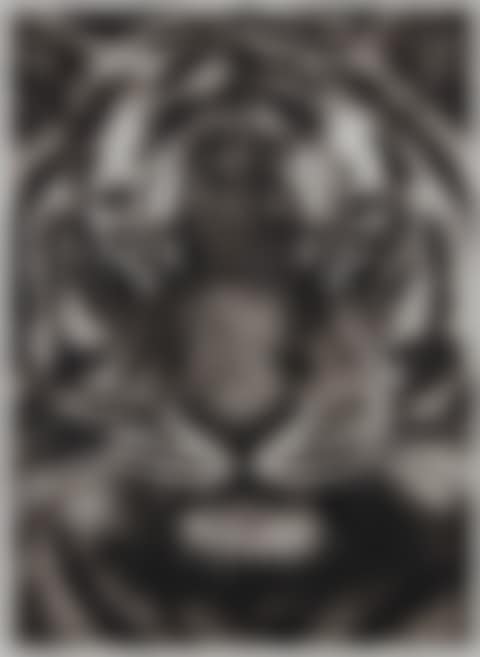 STUDY OF LUCAS (preview)