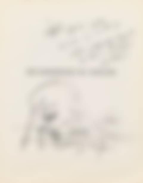 SANS TITRE, VISAGE À LA BÉQUILLE (preview)