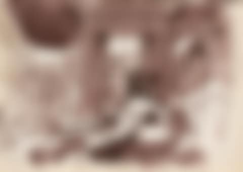 COMPOSITION DEVANT UN TEMPLE (preview)