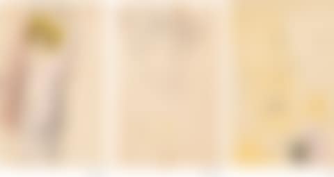 (I) FEMME À LA CHEVELURE BLONDE (RECTO - VERSO); (II) ESSAIS DE COULEURS (preview)