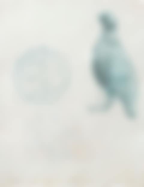 SANS TITRE (preview)