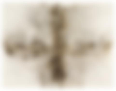 FETUS MOVEMENT - PROJECT FOR EXTRATERRESTRIALS NO.5 (preview)