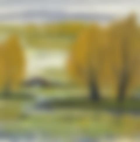 WILD GOOSE OVER AUTUMN POND (preview)