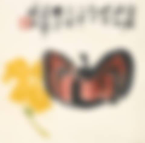 PUMPKIN AND FLOWERS (preview)