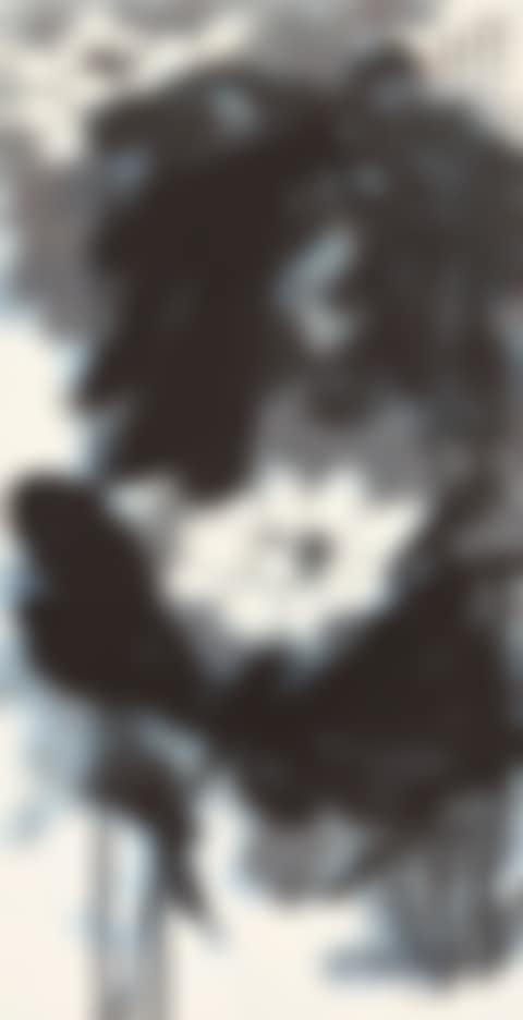 LOTUS IN THE WIND (preview)