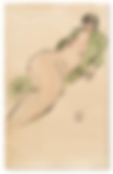 FEMME AU PEIGNOIR VERT (preview)