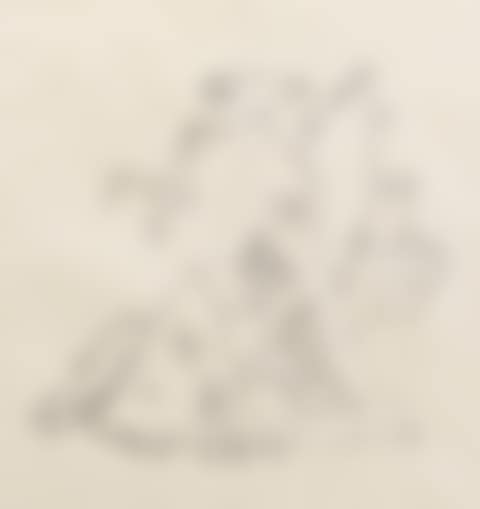 COMPOSITION SURRÉALISTE (preview)