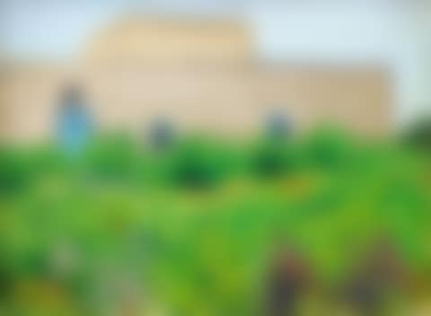 LA MAISON DE L'ARTISTE (preview)