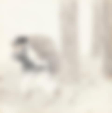 LADY RETURNING HOME (preview)