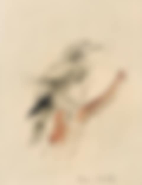L'OISEAU (preview)