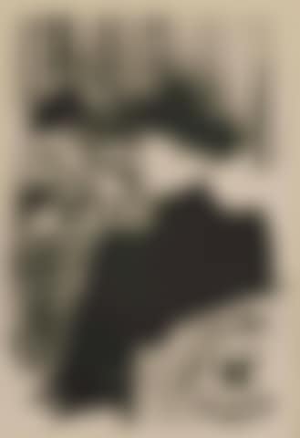 Une spectatrice ,
1893 (preview)