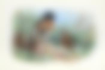 Brambling , (preview)
