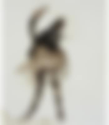 Leda ,
1961 (preview)