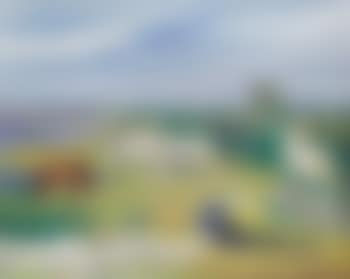 Chevaux en Camargue , (preview)