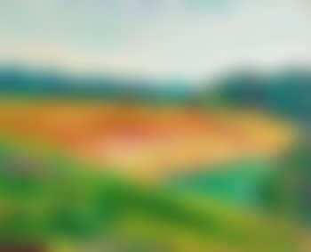 Landschaft ,
1914 (preview)