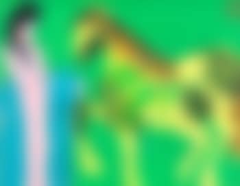 Horse and Woman , (preview)