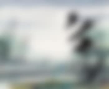 Egret in the reeds , (preview)