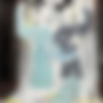 Two beauties ,
1985 (preview)