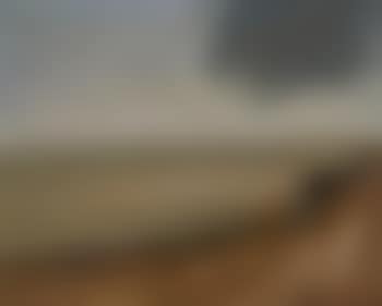 Landscape , (preview)