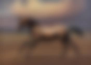 Free spirit , (preview)