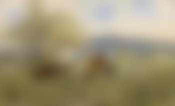 Sommerliche Voralpenlandschaft mit Pferden auf der Weide ,
1890 (preview)