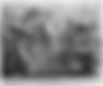 Das Bordell , (preview)