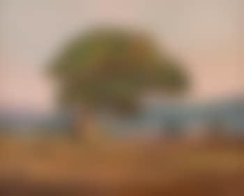 Tree in a rolling hill landscape, Salinas, CA , (preview)