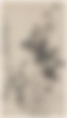Bamboo ,
1765 (preview)