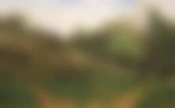Landscape , (preview)