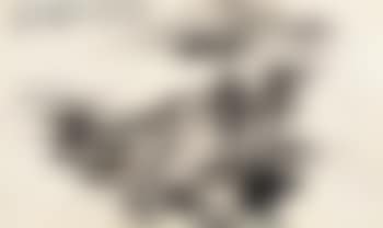 Mu Pu Yuan fan figure , (preview)