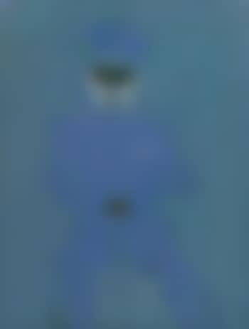 A military presence ,
2001 (preview)