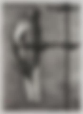 Magic flute bird-catcher (Pigeon) ,
2006 (preview)