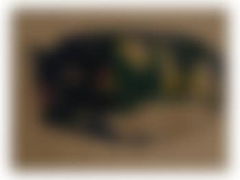 Abstract , (preview)