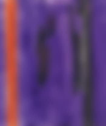 Untitled ,
2001 (preview)
