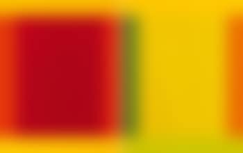 Anima Mundi 44-2 III. Bipartite ,
2009 (preview)