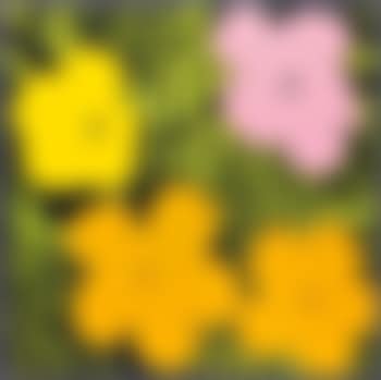Flowers ,
1970 (preview)